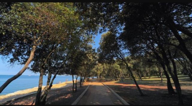 Apartman Perci Vrh Tar-Vabriga Εξωτερικό φωτογραφία