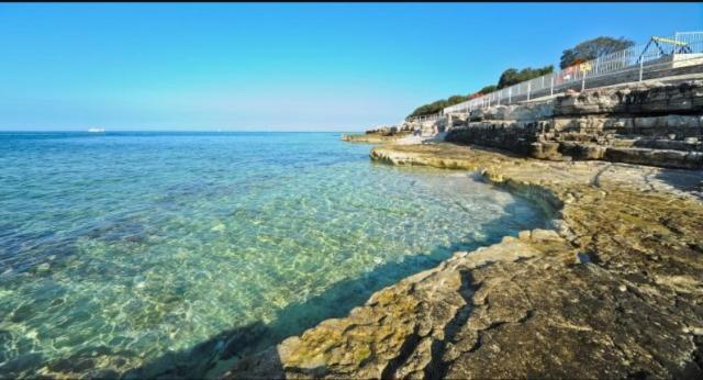 Apartman Perci Vrh Tar-Vabriga Εξωτερικό φωτογραφία